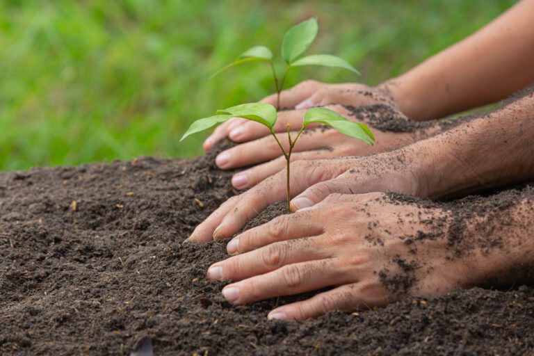 Benefits of Carbon Mitigation Systems for Environmental Protection 1 Benefits of Carbon Mitigation Systems