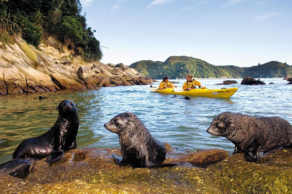 New Zealand is known for its stunning scenery, including mountains, glaciers, and beaches.