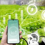 Sustainable Agriculture