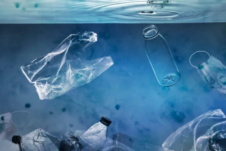Bioplastics: Plant-Based Materials vs. Traditional Plastics 1 Bioplastics