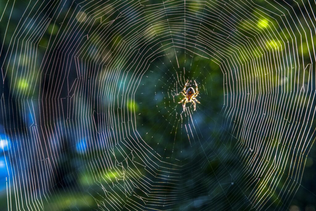 A genetically modified silkworm producing spider silk, representing the eco-friendly marvel of spider-worm silk.