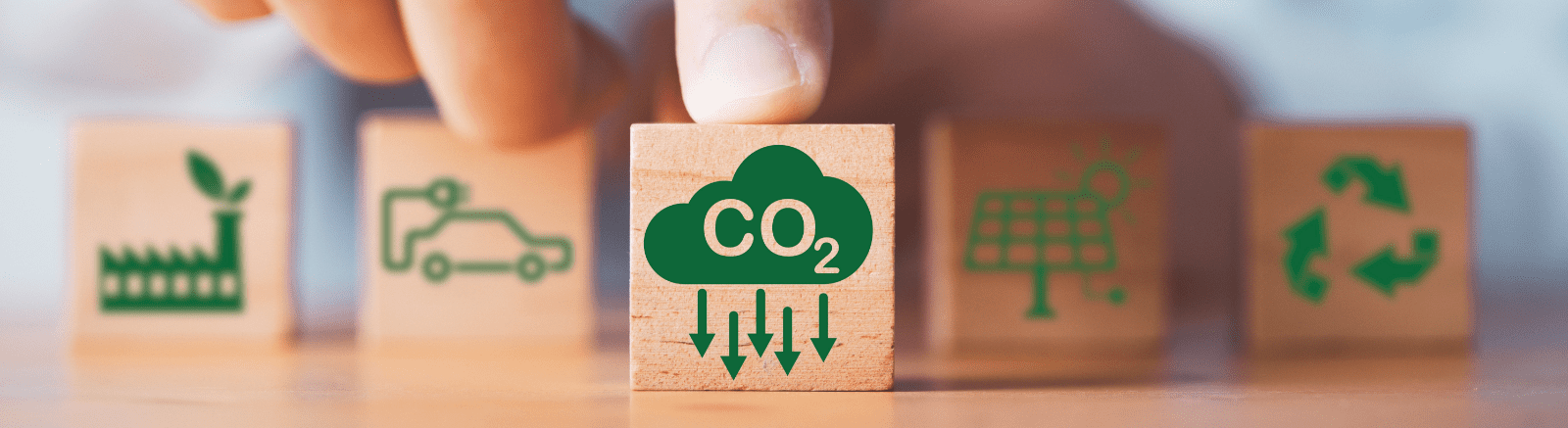 Organizations Generating Carbon Credits