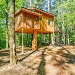 Eco-Friendly Rentals