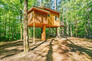 Eco-Friendly Rentals