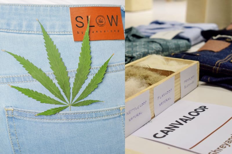 Canvaloop From Farm Waste to Sustainable Fashion