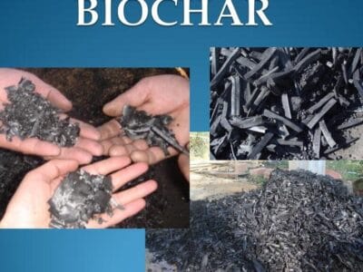 rePurpose Global : Transforming Waste into Worth with Sustainable Innovation 5 altM Turning Agricultural Waste into Sustainable Biomaterials