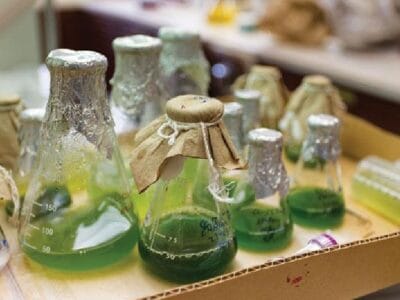 Buyofuel India’s First Tech-Driven B2B Digital Marketplace