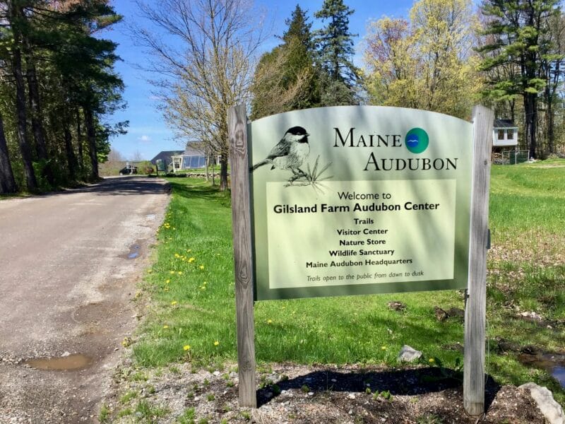 Maine Audubon Independent Wildlife Conservation Organization