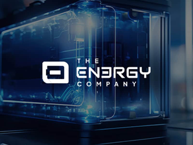 The Energy Company | Intelligent Battery Storage Solutions 1 The Energy Company | Intelligent Battery Storage Solutions
