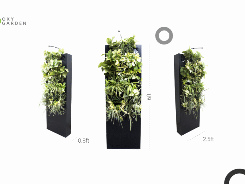 OxyGarden Cleantech Startup Transforming Urban Air Quality 2 OxyGarden Cleantech Startup Transforming Urban Air Quality