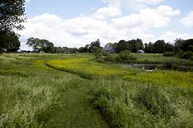 Maine Audubon Independent Wildlife Conservation Organization