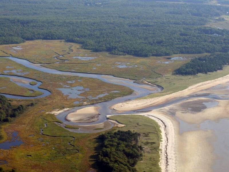 Wells Reserve at Laudholm Where Science, Education, and Conservation Meet on Maine’s Coast
