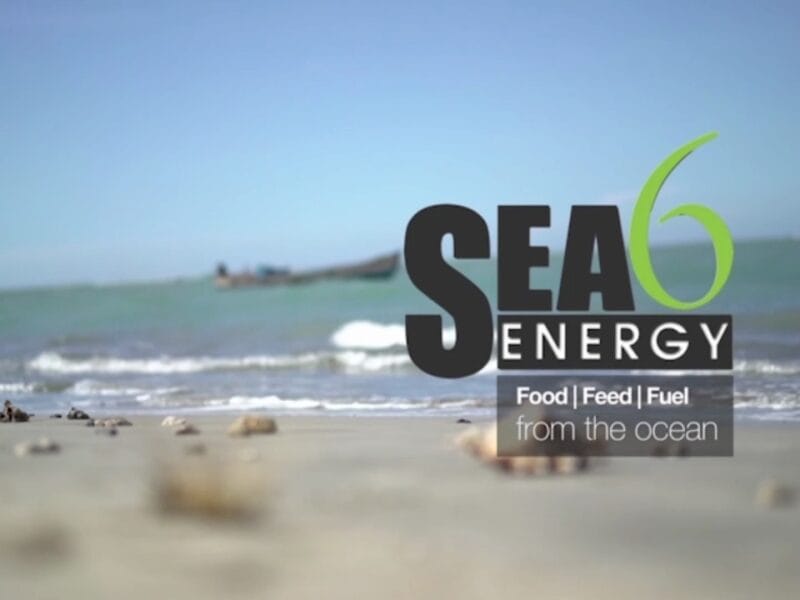 Sea6 Energy Indian Biotech Venture
