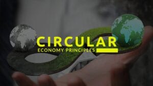 Circular Economy Principles
