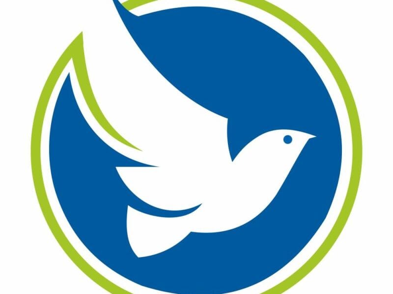 Best Solar Panel Manufacturer in India - Bluebird Solar