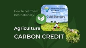 How to Generate Carbon Credits From Agriculture and Sell Them Internationally