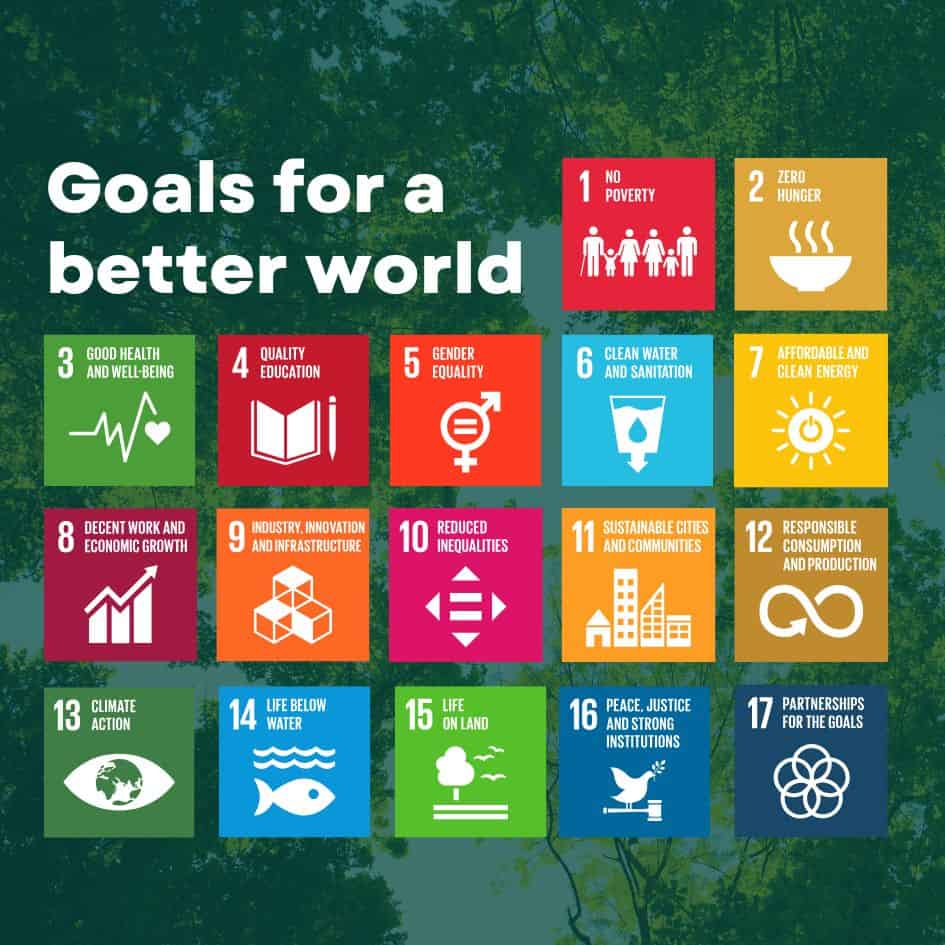 UN Goals for a better world