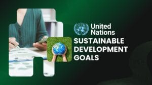 UN Sustainable Development Goals