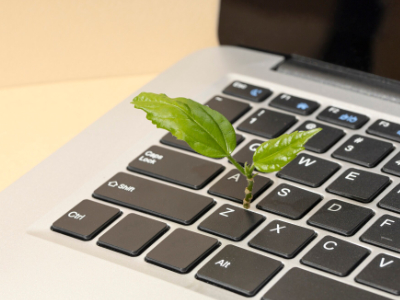 Sustainable IT